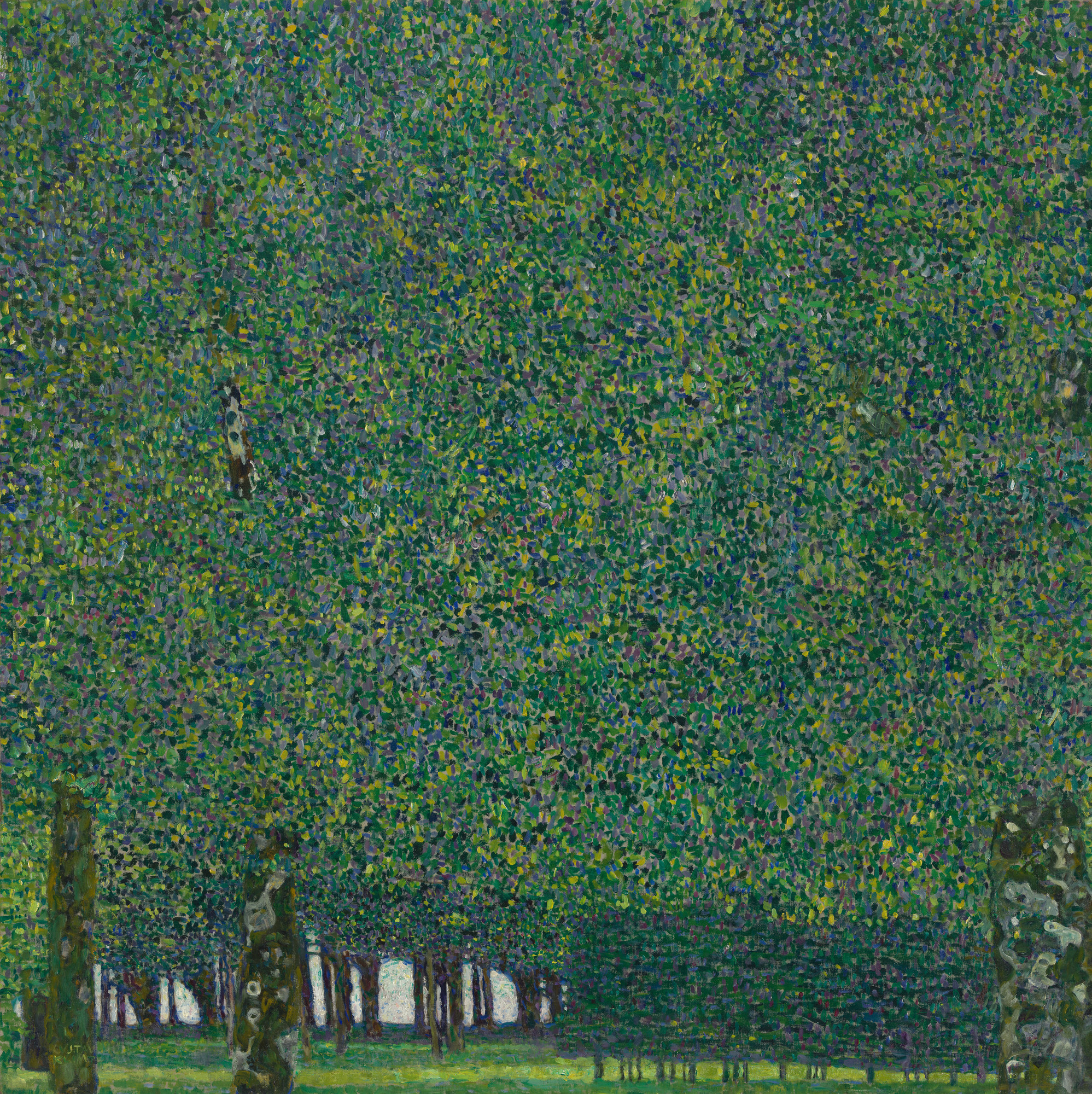 The Park